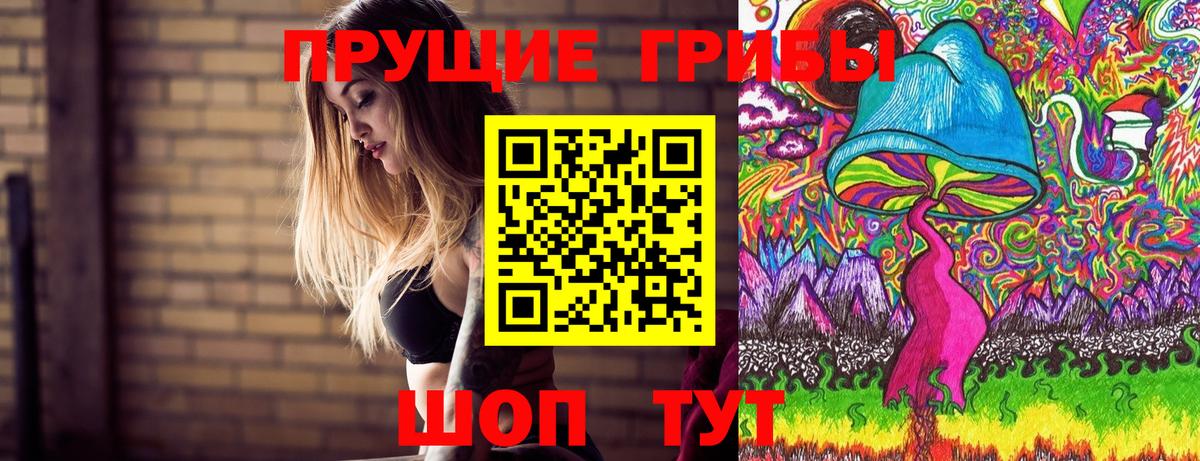 Галлюциногенные грибы MAGIC MUSHROOMS  Вход с VPN  Кушва 