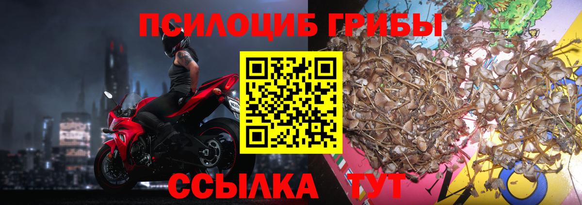 Псилоцибиновые грибы прущие грибы Кушва